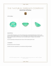 1.60 Ct. Emerald from Colombia Appraisal