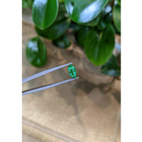 0.97 Ct. Emerald from Colombia Life Style