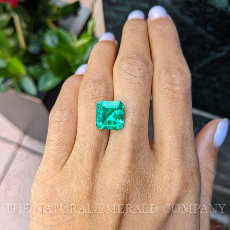5.69 Ct. Emerald from Colombia