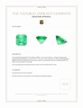 19.36 Ct. Emerald from Colombia Appraisal