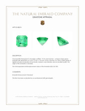 19.35 Ct. Emerald from Colombia Appraisal