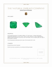 4.97 Ct. Emerald from Colombia Appraisal