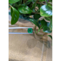 2.96 Ct. Emerald from Zambia Life Style