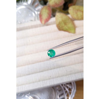 1.14 Ct. Emerald from Zambia Life Style