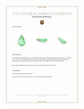 5.57 Ct. Emerald from Zambia Appraisal