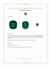 15.36 Ct. Emerald from Colombia Appraisal