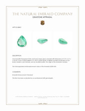 0.86 Ct. Emerald from Zambia Appraisal