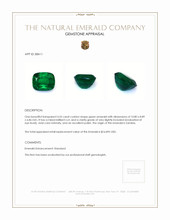 4.55 Ct. Emerald from Zambia Appraisal