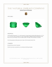 1.31 Ct. Emerald from Colombia Appraisal