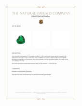 12.08 Ct. Emerald from Colombia Appraisal