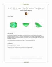 4.58 Ct. Emerald from Colombia Appraisal