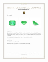 4.58 Ct. Emerald from Colombia Appraisal