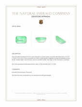 29.23 Ct. Emerald from Colombia Appraisal