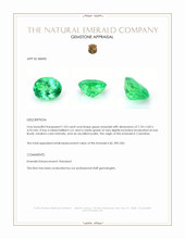 1.03 Ct. Emerald from Colombia Appraisal
