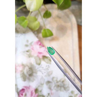 1.08 Ct. Emerald from Zambia Life Style