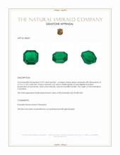 5.95 Ct. Emerald from Colombia Appraisal