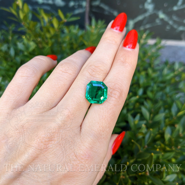 5.95 Ct. Emerald from Colombia