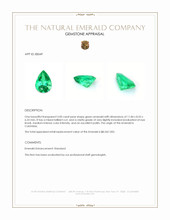 3.00 Ct. Emerald from Colombia Appraisal