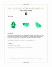 Jewelry Appraisal