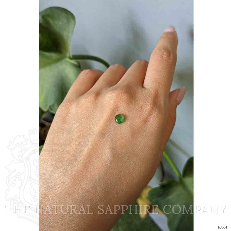 0.50 Ct. Cabochon Emerald from Zambia