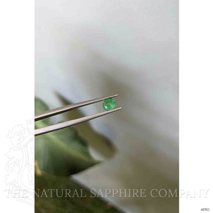 0.50 Ct. Cabochon Emerald from Zambia