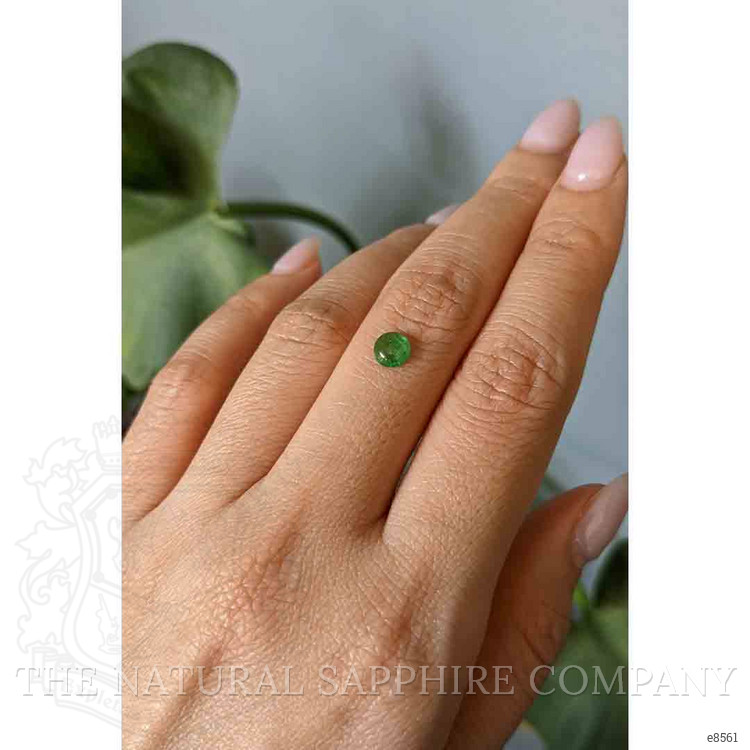 0.50 Ct. Cabochon Emerald from Zambia