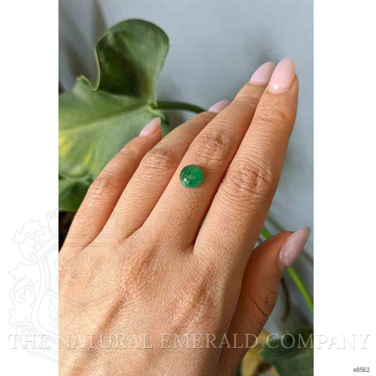 1.71 Ct. Cabochon Emerald from Zambia