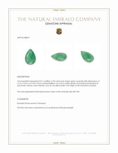 3.78 Ct. Emerald from Zambia Appraisal