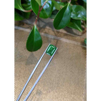 4.02 Ct. Emerald from Zambia Life Style