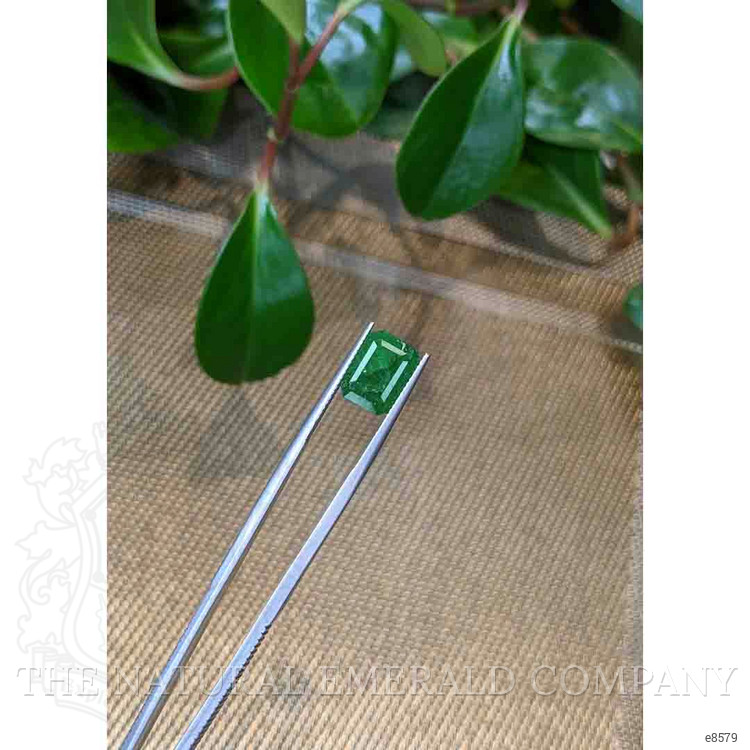 4.02 Ct. Emerald from Zambia