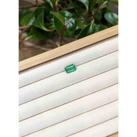 3.25 Ct. Emerald from Zambia Life Style