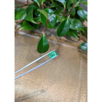 3.25 Ct. Emerald from Zambia Life Style