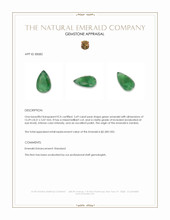 3.69 Ct. Emerald from Zambia Appraisal