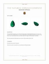 1.37 Ct. Emerald from Colombia Appraisal