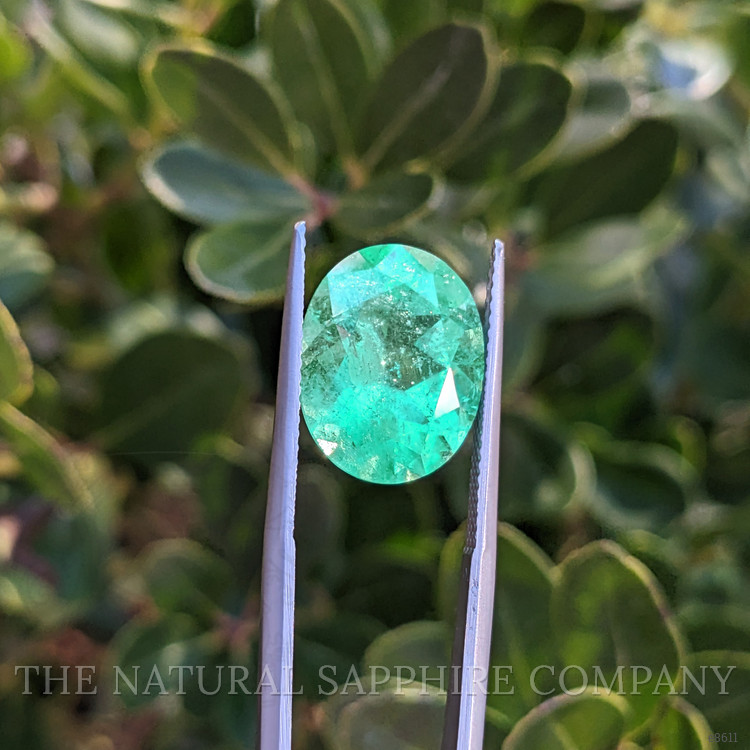 7.24 Ct. Emerald from Colombia