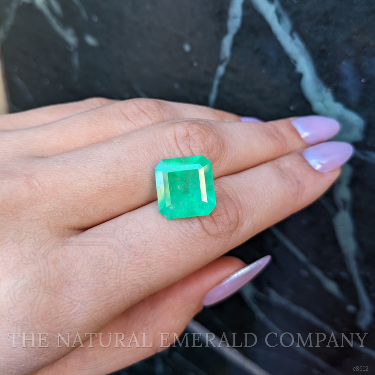10.65 Ct. Emerald from Colombia