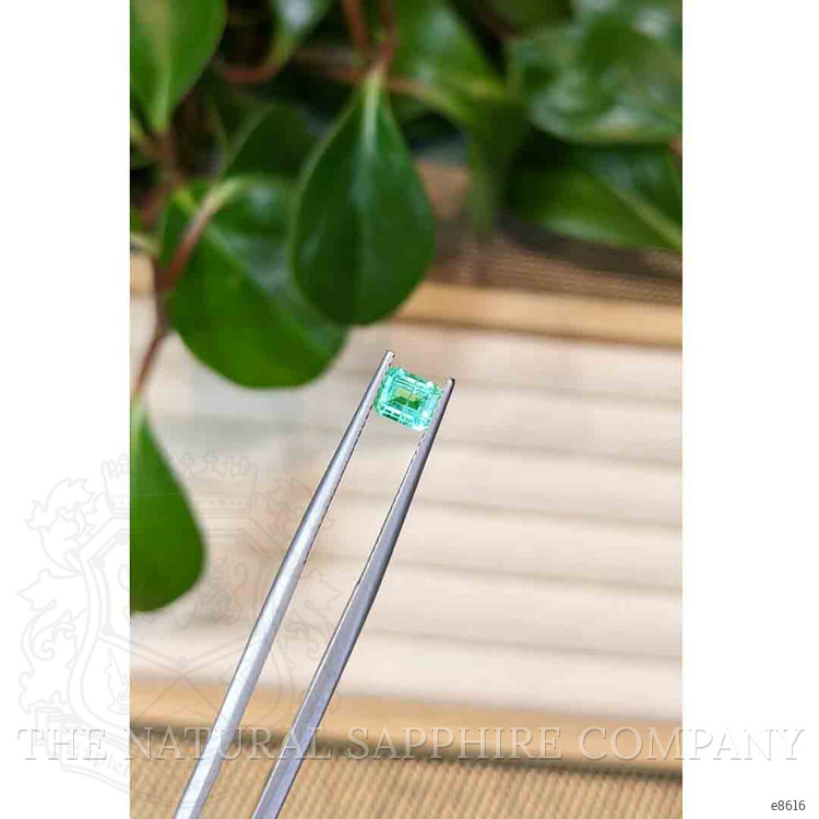 0.53 Ct. Emerald from Colombia