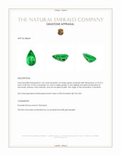 1.44 Ct. Emerald from Colombia Appraisal