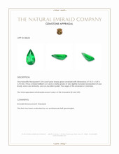 1.04 Ct. Emerald from Colombia Appraisal