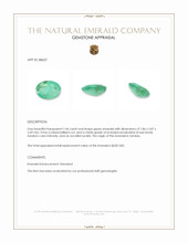 1.06 Ct. Emerald from Zambia Appraisal