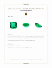 3.40 Ct. Emerald from Zambia Appraisal