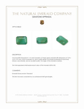 1.10 Ct. Emerald from Zambia Appraisal