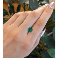 1.76 Ct. Emerald from Zambia Life Style