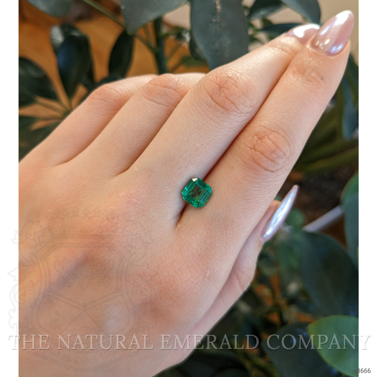 1.76 Ct. Emerald from Zambia