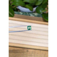 1.01 Ct. Emerald from Zambia Life Style