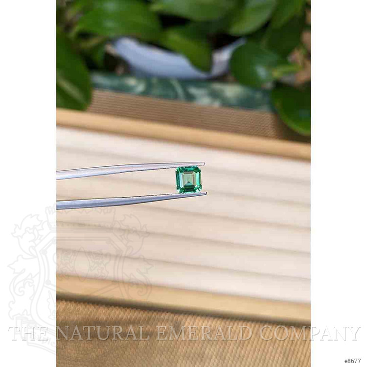 1.01 Ct. Emerald from Zambia