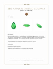 0.30 Ct. Emerald from Colombia Appraisal