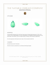 0.46 Ct. Emerald from Afghanistan Appraisal