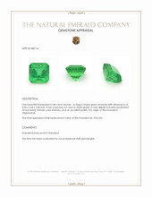 0.48 Ct. Emerald from Afghanistan Appraisal