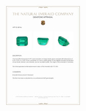 0.99 Ct. Emerald from Colombia Appraisal
